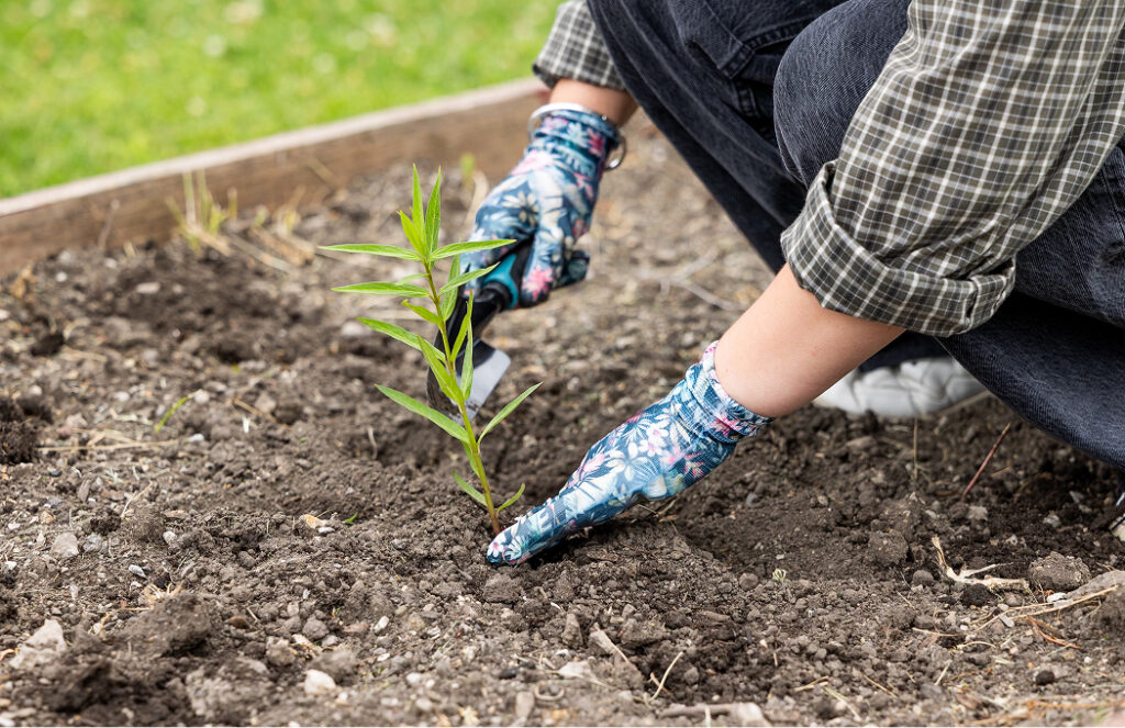 person gardening
