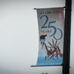 A street banner attached to a lamp post reads "Celebrating 250 Years" and "City of Countryside," with a illustration of the Statue of Liberty against a light blue background.